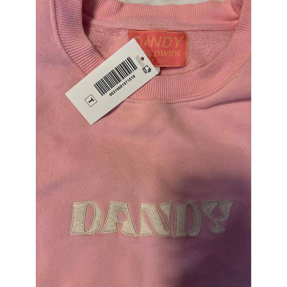 NWT Dandy “Make a Wish” Pink Graphic Sweatshirt / Oversized Crewneck XL - Picture 2 of 7